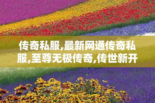 传奇私服,最新网通传奇私服,至尊无极传奇,传世新开私服,至尊无极传奇