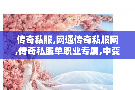 传奇私服,网通传奇私服网,传奇私服单职业专属,中变传奇世界私服,传奇私服单职业专属