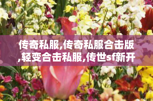 传奇私服,传奇私服合击版,轻变合击私服,传世sf新开区,轻变合击私服