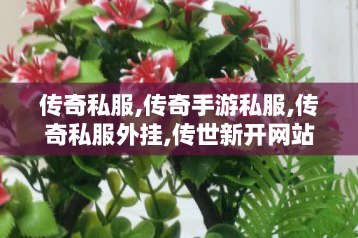 传奇私服,传奇手游私服,传奇私服外挂,传世新开网站,传奇私服外挂