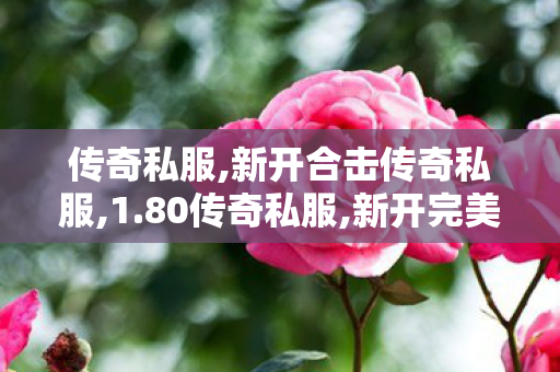 传奇私服,新开合击传奇私服,1.80传奇私服,新开完美世界私服,1.80传奇私服