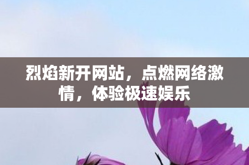 烈焰新开网站，点燃网络激情，体验极速娱乐