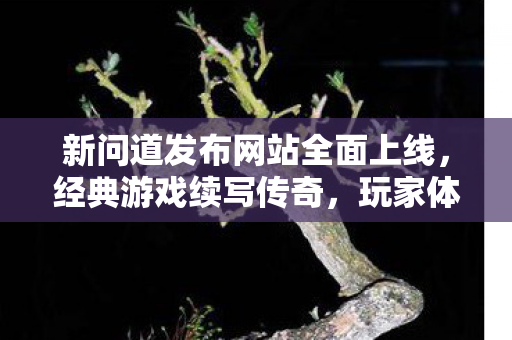 新问道发布网站全面上线，经典游戏续写传奇，玩家体验再升级