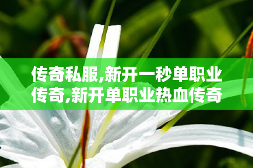 传奇私服,新开一秒单职业传奇,新开单职业热血传奇私服,传奇网通私服发布网,新开单职业热血传奇私服