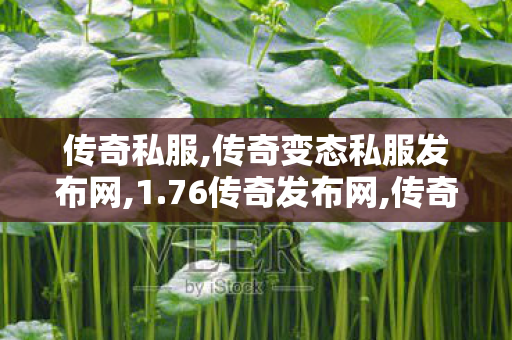 传奇私服,传奇变态私服发布网,1.76传奇发布网,传奇归来私服,1.76传奇发布网