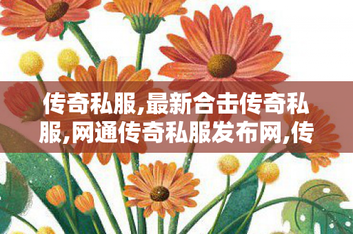 传奇私服,最新合击传奇私服,网通传奇私服发布网,传奇合击发布网,网通传奇私服发布网
