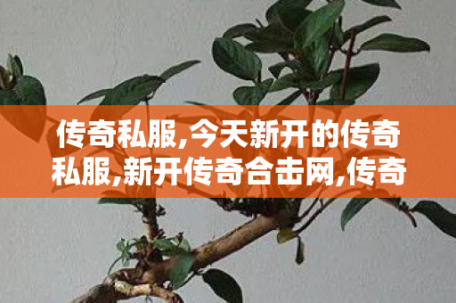传奇私服,今天新开的传奇私服,新开传奇合击网,传奇世界私服版本下载,新开传奇合击网