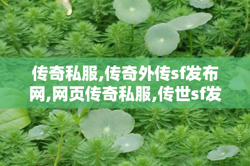 传奇私服,传奇外传sf发布网,网页传奇私服,传世sf发布网,网页传奇私服