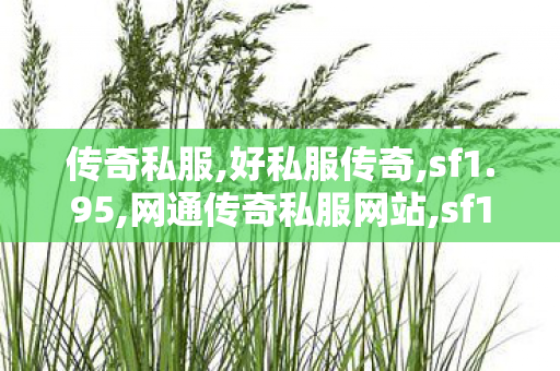 传奇私服,好私服传奇,sf1.95,网通传奇私服网站,sf1.95