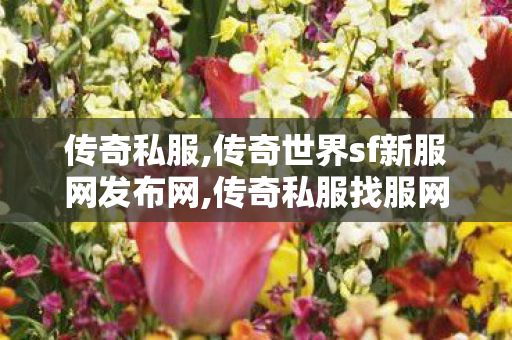 传奇私服,传奇世界sf新服网发布网,传奇私服找服网,传奇发布站,传奇私服找服网