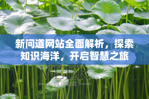 新问道网站全面解析，探索知识海洋，开启智慧之旅