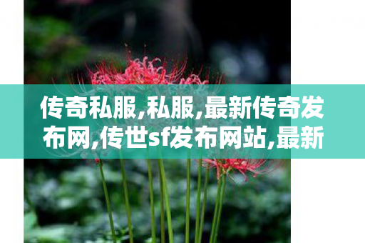 传奇私服,私服,最新传奇发布网,传世sf发布网站,最新传奇发布网