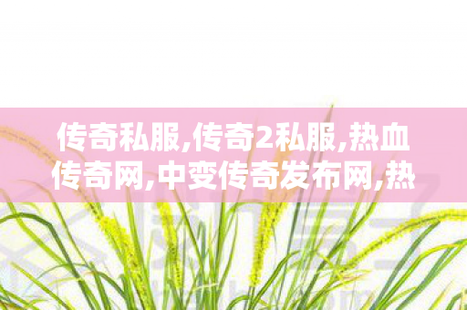 传奇私服,传奇2私服,热血传奇网,中变传奇发布网,热血传奇网