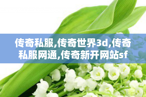 传奇私服,传奇世界3d,传奇私服网通,传奇新开网站sf,传奇私服网通
