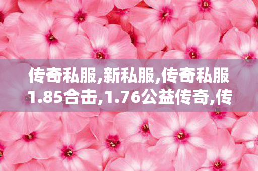 传奇私服,新私服,传奇私服1.85合击,1.76公益传奇,传奇私服1.85合击