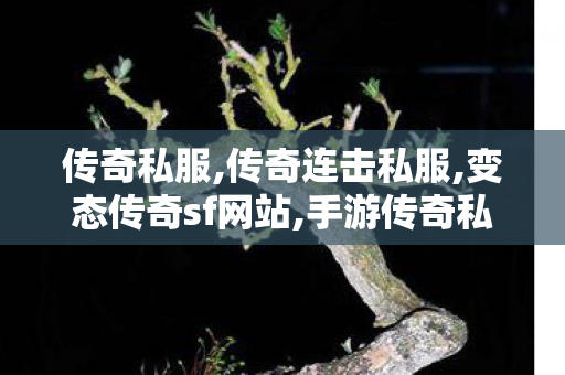 传奇私服,传奇连击私服,变态传奇sf网站,手游传奇私服发布网,变态传奇sf网站