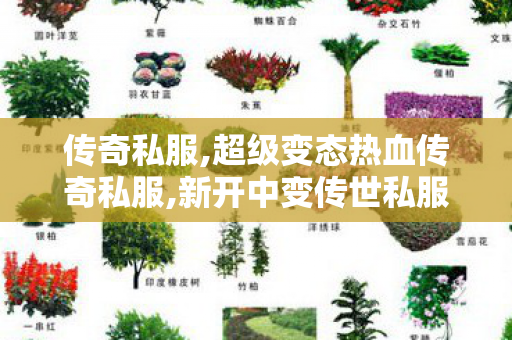 传奇私服,超级变态热血传奇私服,新开中变传世私服,传奇世界私服发布网,新开中变传世私服