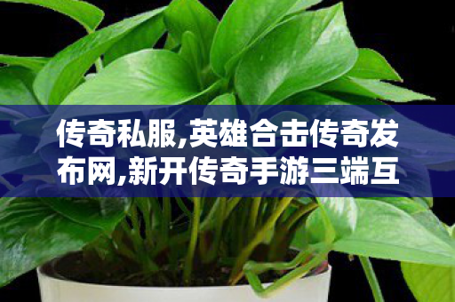 传奇私服,英雄合击传奇发布网,新开传奇手游三端互通,山东网通传奇私服,新开传奇手游三端互通
