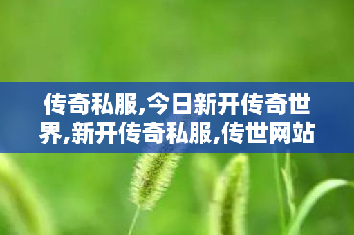 传奇私服,今日新开传奇世界,新开传奇私服,传世网站新开网,新开传奇私服