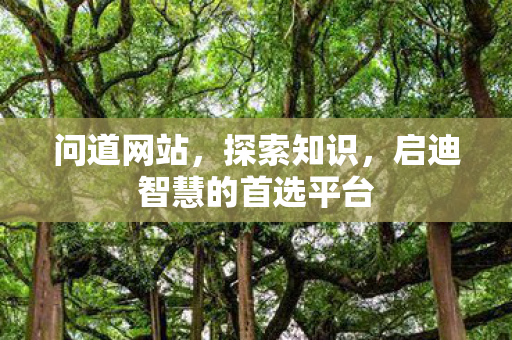 问道网站，探索知识，启迪智慧的首选平台
