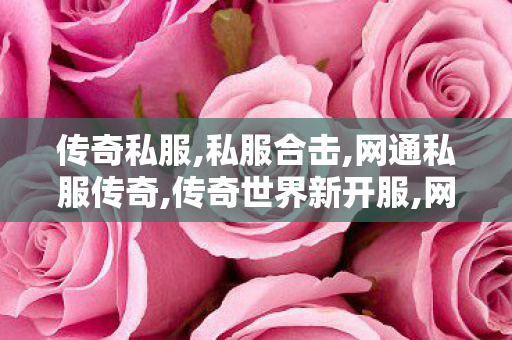 传奇私服,私服合击,网通私服传奇,传奇世界新开服,网通私服传奇