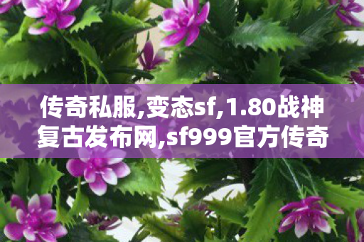传奇私服,变态sf,1.80战神复古发布网,sf999官方传奇手游发布网,1.80战神复古发布网