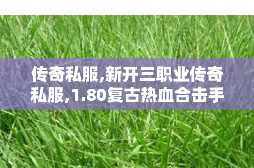 传奇私服,新开三职业传奇私服,1.80复古热血合击手游变态版,传奇新服网发布网,1.80复古热血合击手游变态版