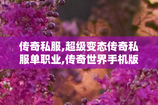 传奇私服,超级变态传奇私服单职业,传奇世界手机版,传奇世界中变sf发布,传奇世界手机版