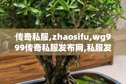 传奇私服,zhaosifu,wg999传奇私服发布网,私服发布网站,wg999传奇私服发布网