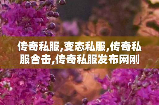 传奇私服,变态私服,传奇私服合击,传奇私服发布网刚开一秒,传奇私服合击