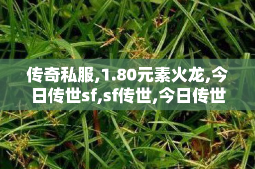 传奇私服,1.80元素火龙,今日传世sf,sf传世,今日传世sf