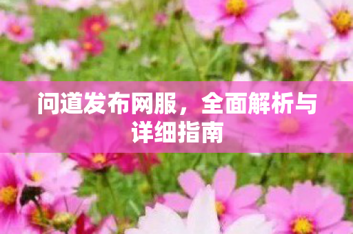 问道发布网服，全面解析与详细指南