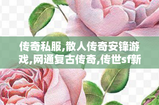 传奇私服,散人传奇安锋游戏,网通复古传奇,传世sf新服网发布网,网通复古传奇