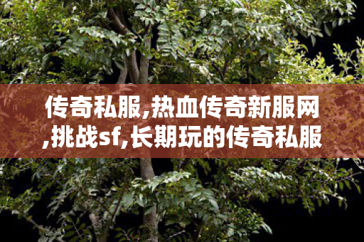传奇私服,热血传奇新服网,挑战sf,长期玩的传奇私服,挑战sf