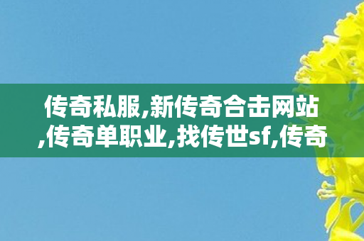 传奇私服,新传奇合击网站,传奇单职业,找传世sf,传奇单职业