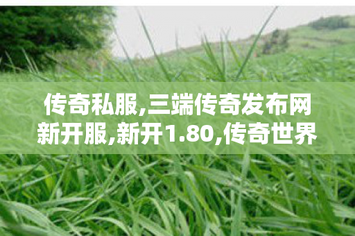 传奇私服,三端传奇发布网新开服,新开1.80,传奇世界私服发布网新开服发布吧,新开1.80
