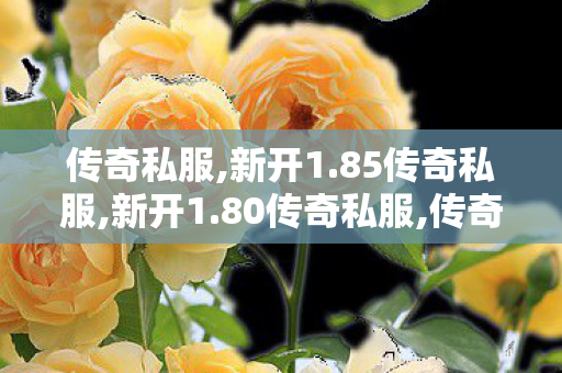 传奇私服,新开1.85传奇私服,新开1.80传奇私服,传奇世界新服,新开1.80传奇私服
