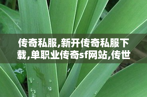 传奇私服,新开传奇私服下载,单职业传奇sf网站,传世私l菔,单职业传奇sf网站