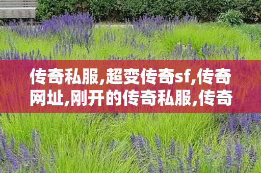 传奇私服,超变传奇sf,传奇网址,刚开的传奇私服,传奇网址