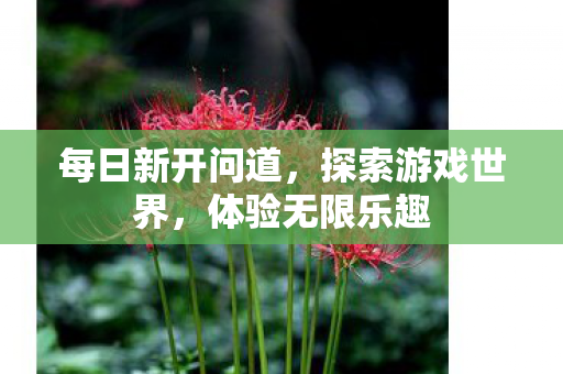 每日新开问道，探索游戏世界，体验无限乐趣