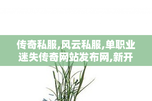 传奇私服,风云私服,单职业迷失传奇网站发布网,新开传奇世界,单职业迷失传奇网站发布网