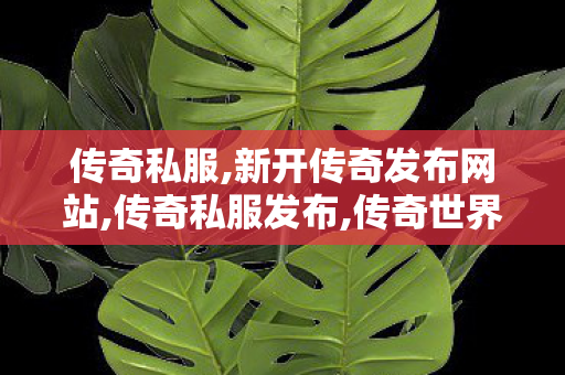 传奇私服,新开传奇发布网站,传奇私服发布,传奇世界sf,传奇私服发布