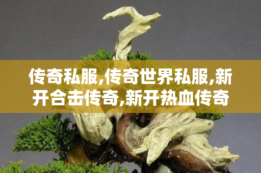 传奇私服,传奇世界私服,新开合击传奇,新开热血传奇sf,新开合击传奇