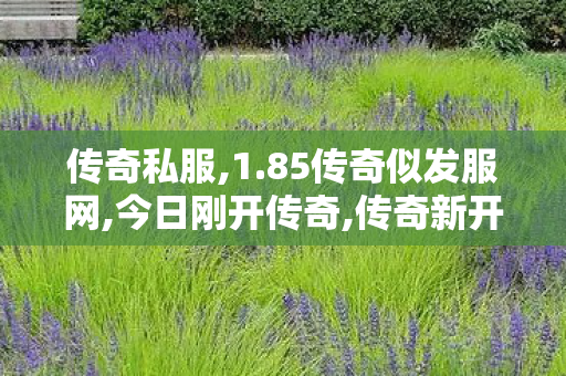 传奇私服,1.85传奇似发服网,今日刚开传奇,传奇新开,今日刚开传奇