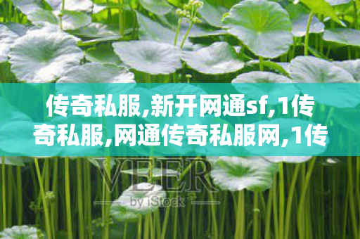 传奇私服,新开网通sf,1传奇私服,网通传奇私服网,1传奇私服
