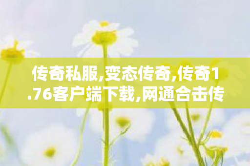 传奇私服,变态传奇,传奇1.76客户端下载,网通合击传奇私服,传奇1.76客户端下载