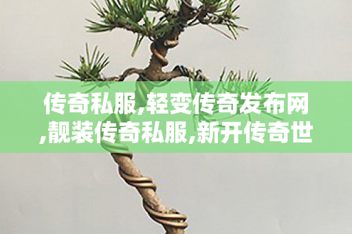 传奇私服,轻变传奇发布网,靓装传奇私服,新开传奇世界私服发布,靓装传奇私服