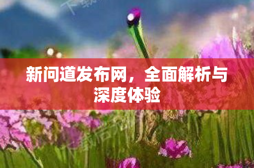 新问道发布网，全面解析与深度体验