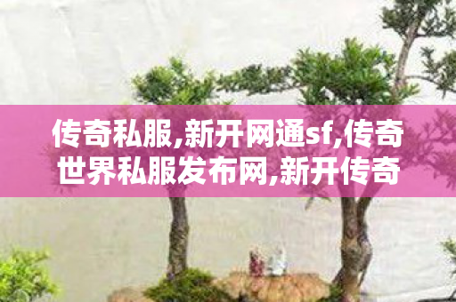 传奇私服,新开网通sf,传奇世界私服发布网,新开传奇微变网站,传奇世界私服发布网