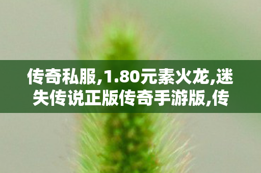 传奇私服,1.80元素火龙,迷失传说正版传奇手游版,传奇世界无元神区,迷失传说正版传奇手游版